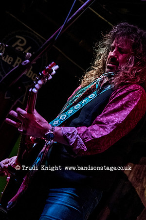 Dan Baird & Homemade Sin