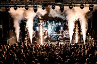 The Wildhearts 2025