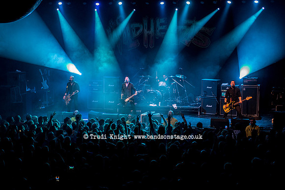 The Wildhearts