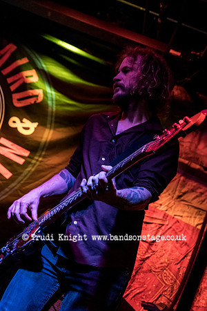 Dan Baird & Homemade Sin