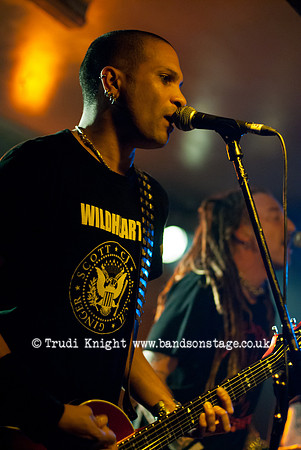 The Wildhearts