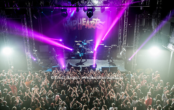 The Wildhearts