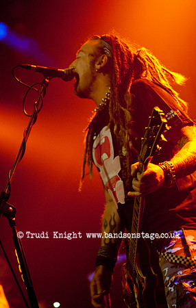 The Wildhearts