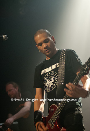 The Wildhearts