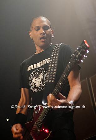 The Wildhearts