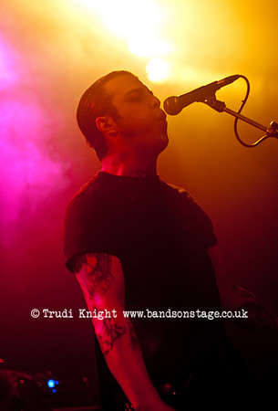 The Wildhearts