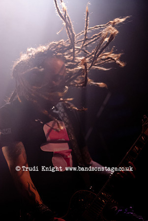 The Wildhearts