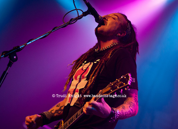 The Wildhearts