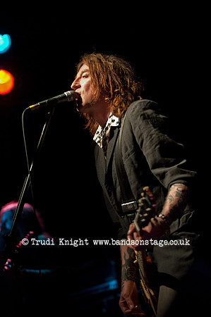 Ginger Wildheart