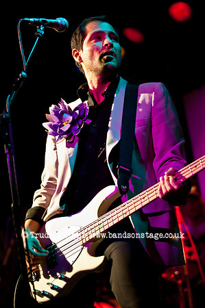 Ginger Wildheart