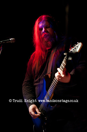 Ginger Wildheart
