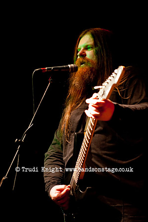 Ginger Wildheart