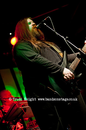 Ginger Wildheart