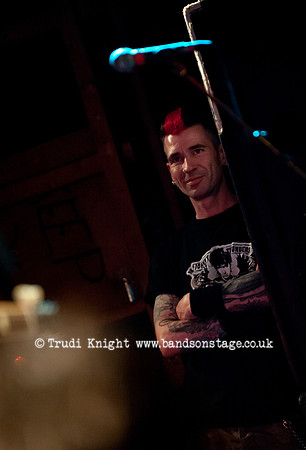 Ginger Wildheart