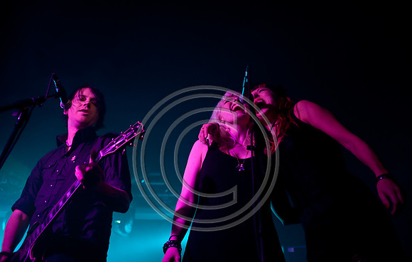 Ginger Wildheart Birthday Bash
