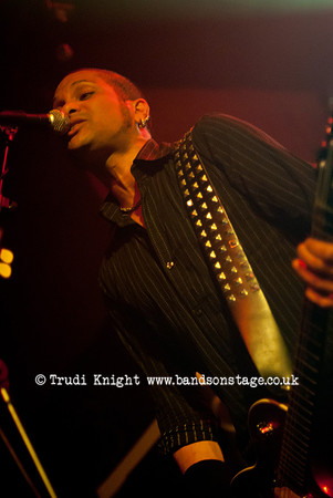 The Wildhearts