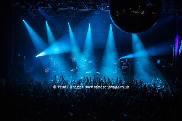 The Wildhearts