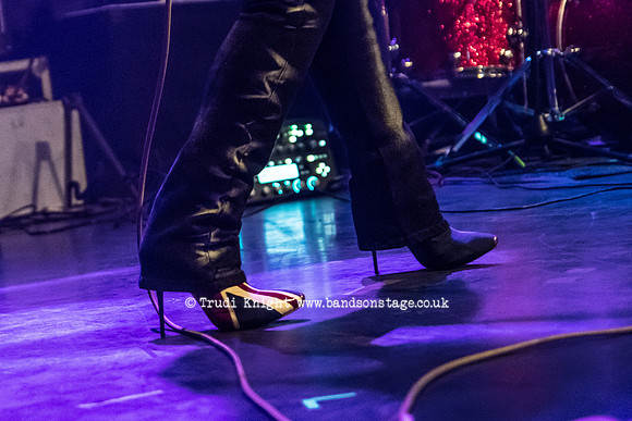 Ginger Wildheart Birthday Bash 2016