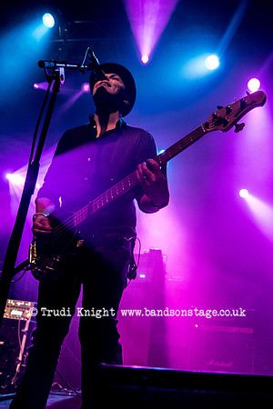 Ginger Wildheart Birthday Bash 2016