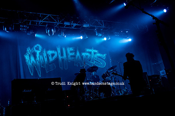 Ginger Wildheart Birthday Bash 2016