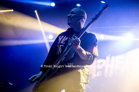 The Wildhearts