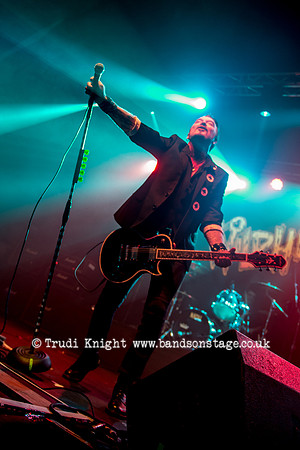 The Wildhearts