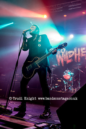 The Wildhearts