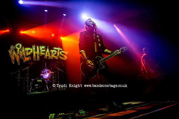 The Wildhearts