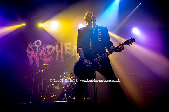 The Wildhearts