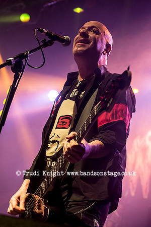 The Wildhearts