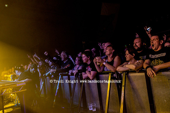 The Wildhearts