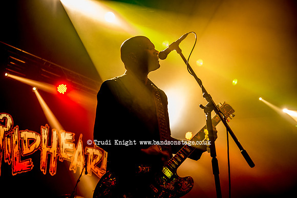 The Wildhearts