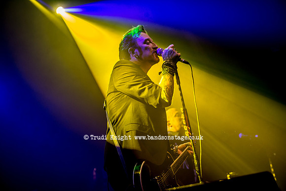 The Wildhearts