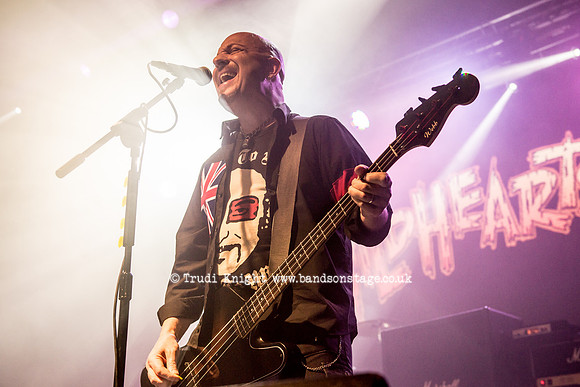The Wildhearts