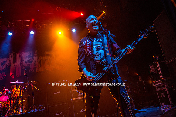 The Wildhearts