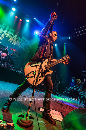 The Wildhearts