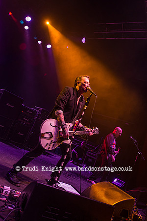 The Wildhearts