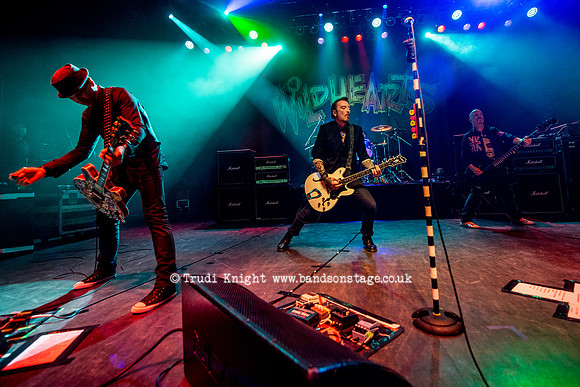 The Wildhearts