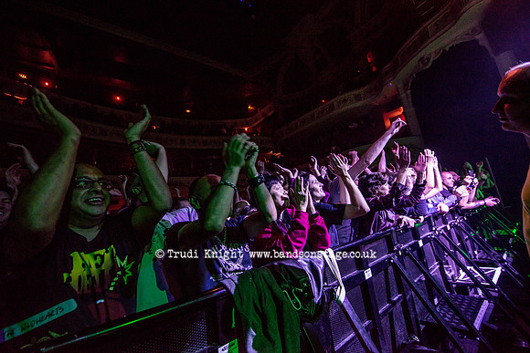 The Wildhearts