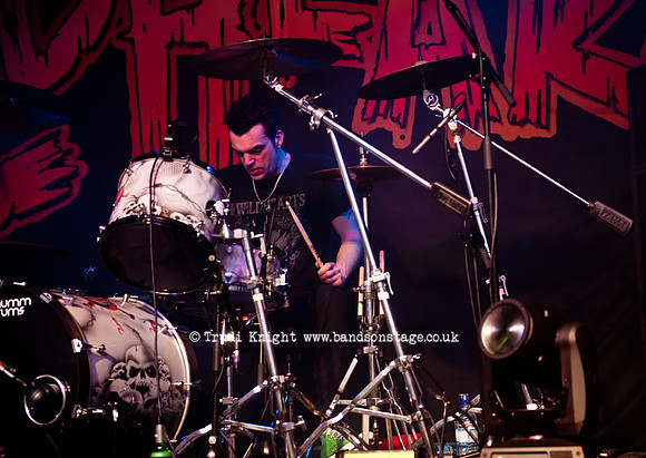 The Wildhearts