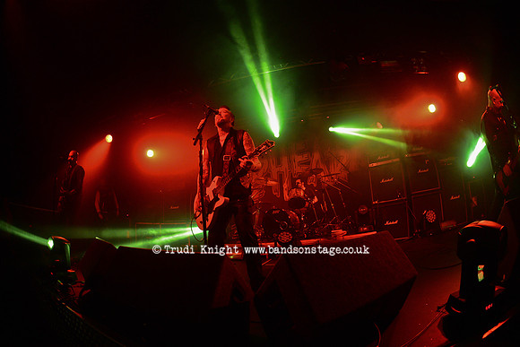 The Wildhearts