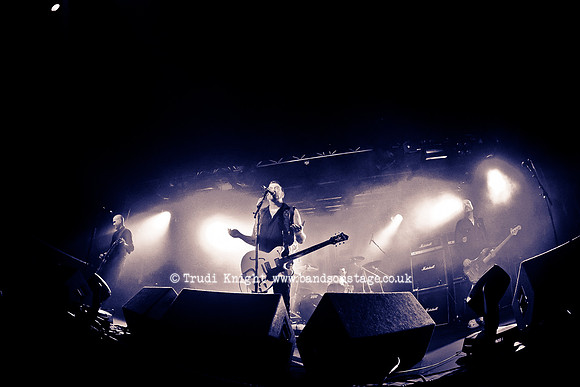 The Wildhearts