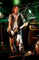 Ginger Wildheart