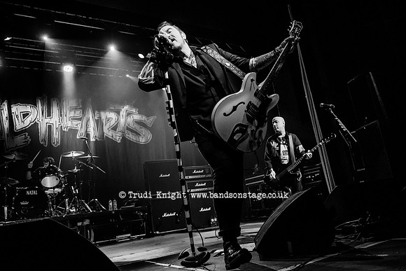 The Wildhearts
