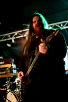 Ginger Wildheart