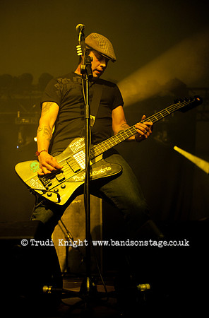 The Wildhearts
