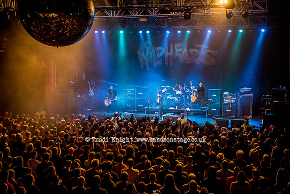 The Wildhearts