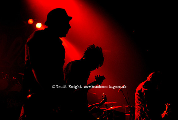 Ginger Wildheart Band
