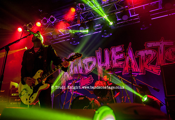 The Wildhearts