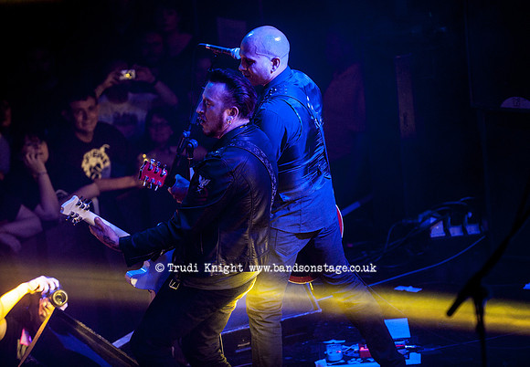 The Wildhearts